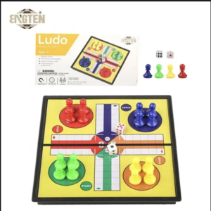 Magnetic ludo game