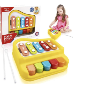 2 in 1 Xylophone and Piano