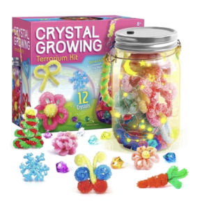 Crystal Growing Terrarium Kit