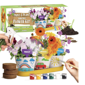 Paint & Plant Your Own Flower Kit
