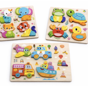 Montessori Wooden Puzzle