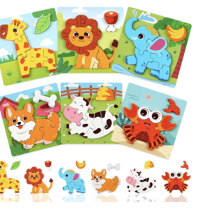 3-D Montessori Wooden Puzzles